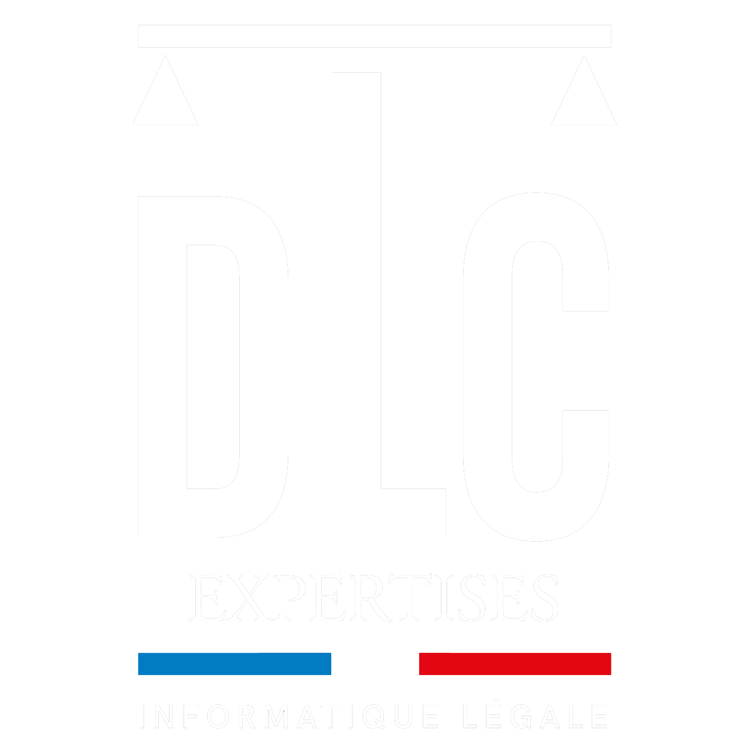 Data Labcenter Expertises